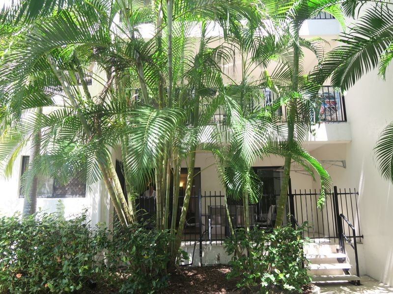 1/19 Upward Street, Parramatta Park QLD 4870