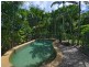 31 Terminalia Street, Redlynch QLD 4870