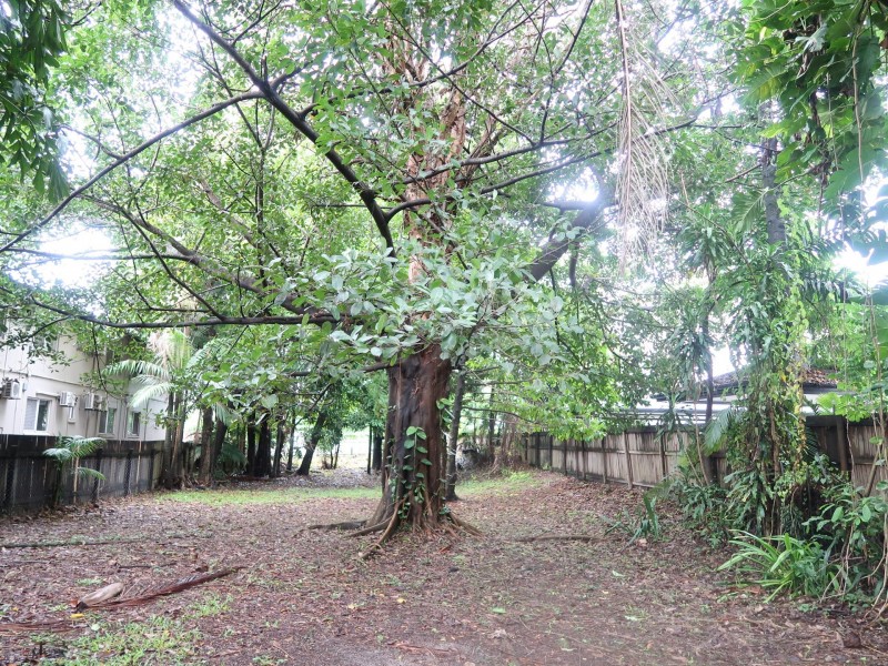 174 Spence Street, Bungalow QLD 4870