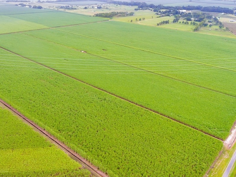 Gordonvale QLD 4865
