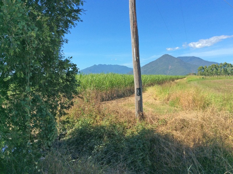 Gordonvale QLD 4865