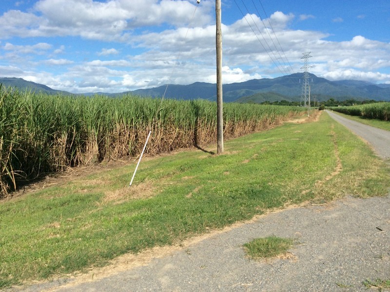 Gordonvale QLD 4865