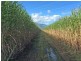 Gordonvale QLD 4865