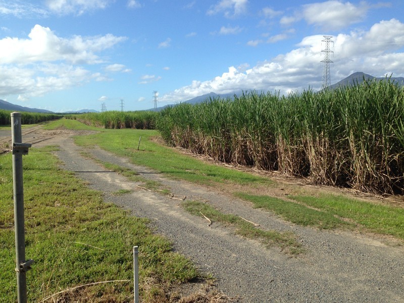 Gordonvale QLD 4865