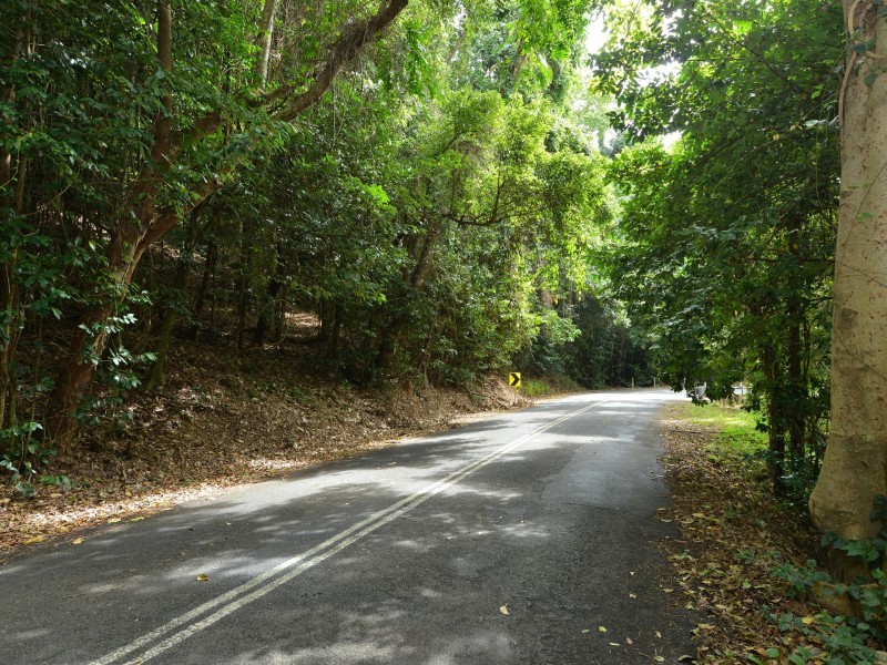 140R Lake Morris Road, Kanimbla QLD 4870