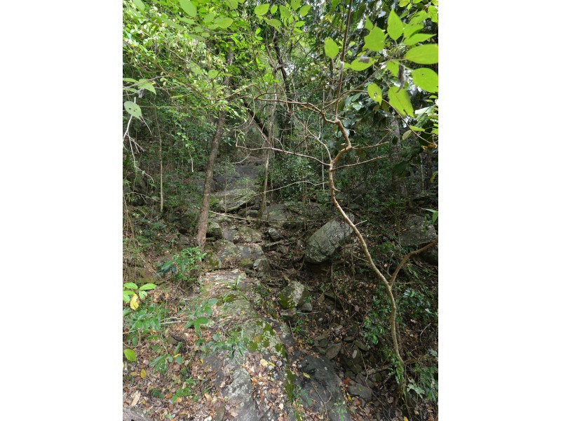 140R Lake Morris Road, Kanimbla QLD 4870