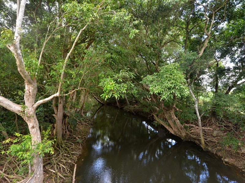 60 Page Road, Edmonton QLD 4869