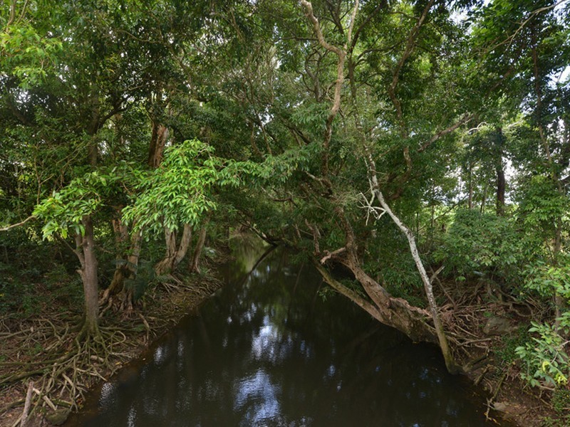 60 Page Road, Edmonton QLD 4869