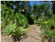 33 Hodel Street, Whitfield QLD 4870