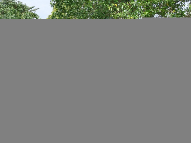 7 A Jaye Street, Edge Hill QLD 4870