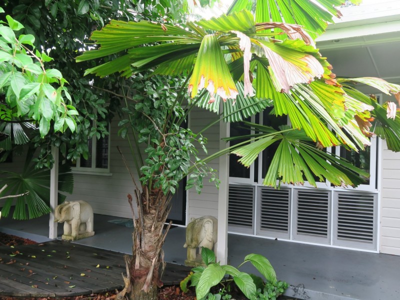 24 Bolton Street, Whitfield QLD 4870