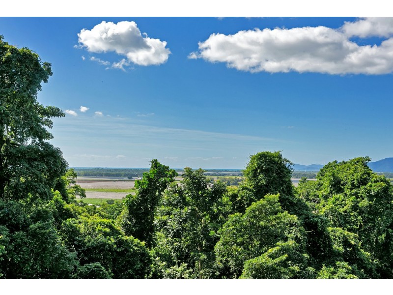 78-80 Fig Tree Drive, Caravonica QLD 4878