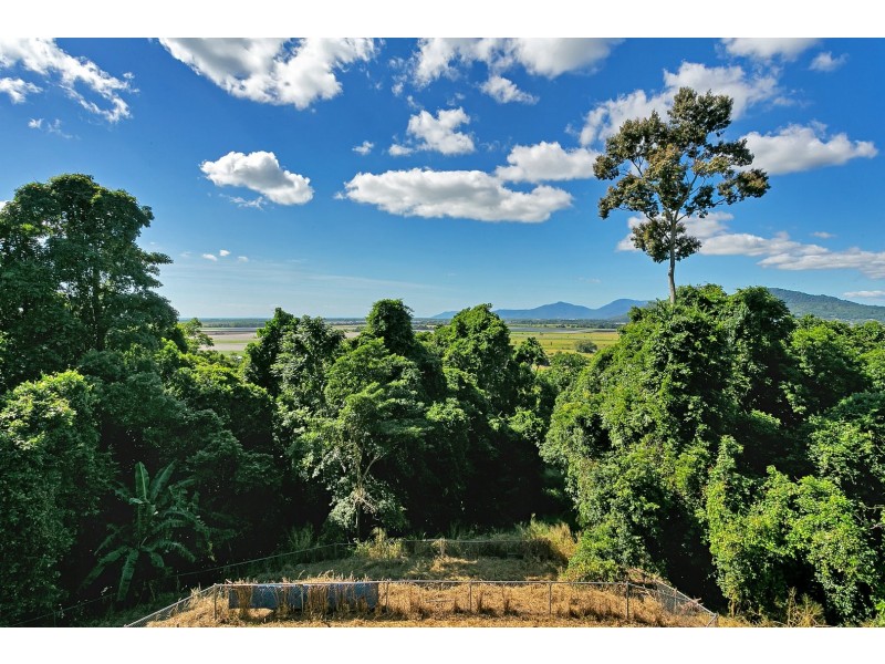 78-80 Fig Tree Drive, Caravonica QLD 4878