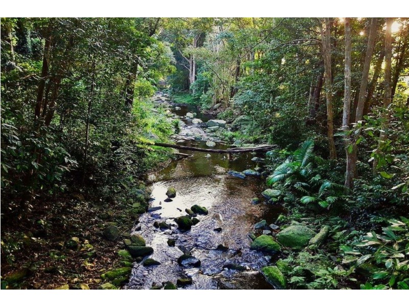 11 Cycas Close, Kamerunga QLD 4870