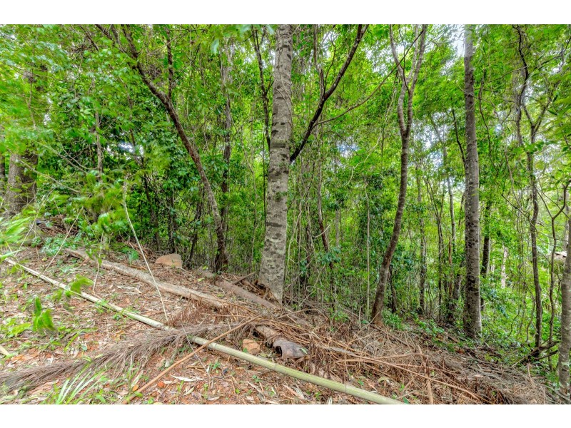 8 Barklya Close, Kamerunga QLD 4870