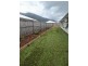 25 Noipo Crescent, Redlynch QLD 4870