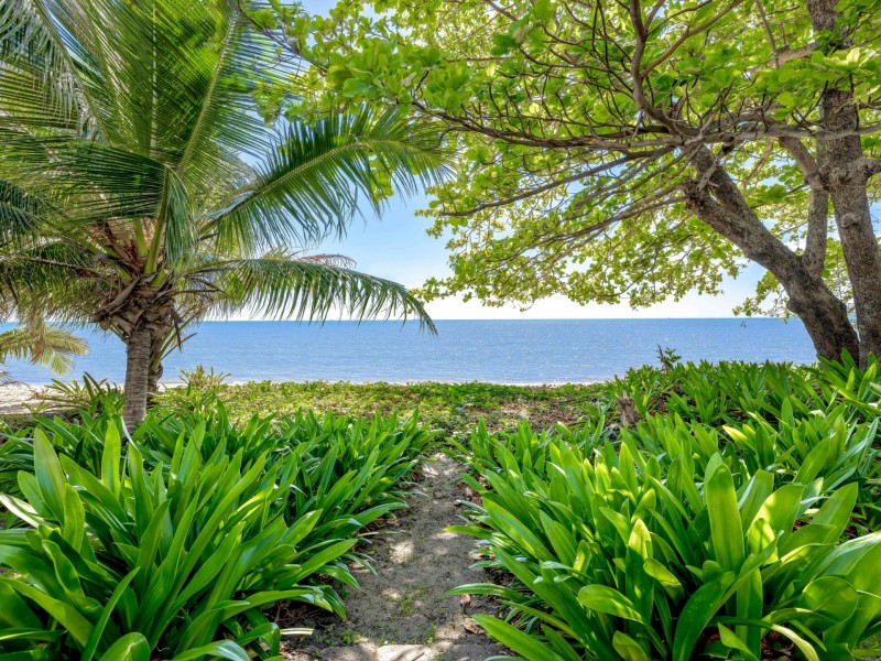 56 Hibiscus Lane, Holloways Beach QLD 4878