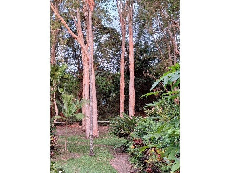 3/6 Deauville Close, Yorkeys Knob QLD 4878