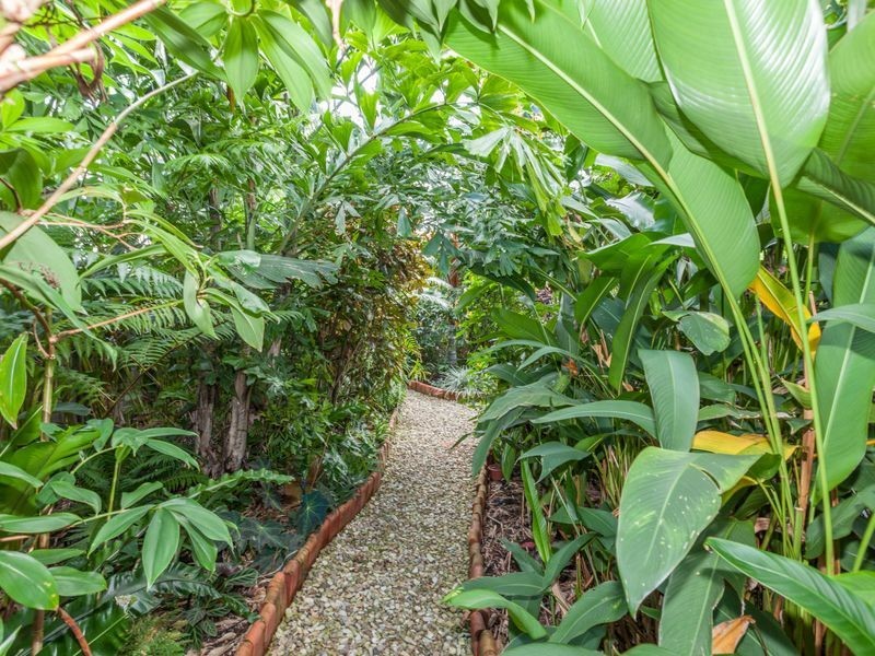 7 Coronado Street, Kewarra Beach QLD 4879