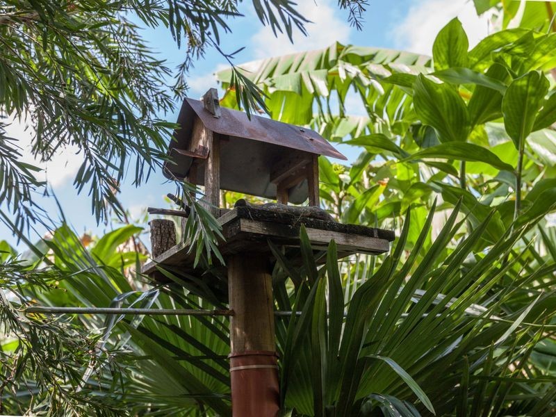 7 Coronado Street, Kewarra Beach QLD 4879