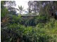 54 Masons Road, Kuranda QLD 4881