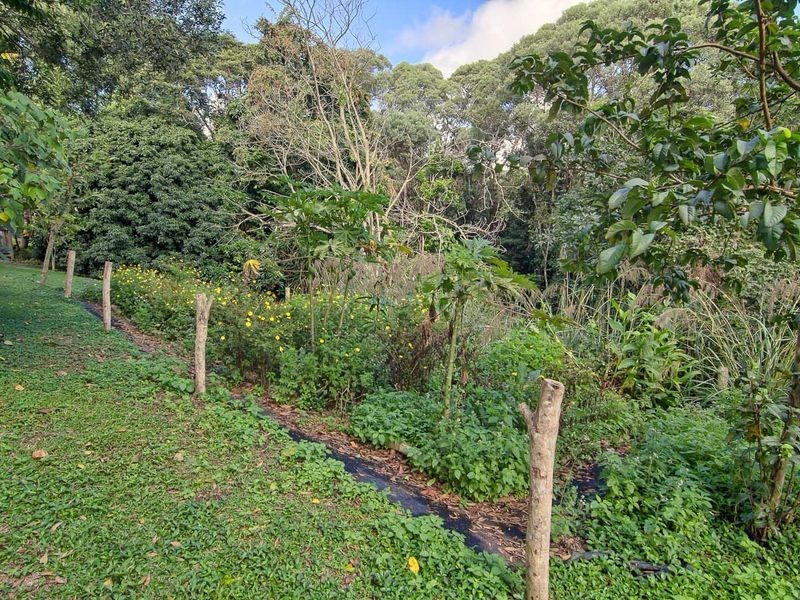 14 Punch Close, Kuranda QLD 4881