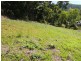 14 Savannah Street, Palm Cove QLD 4879