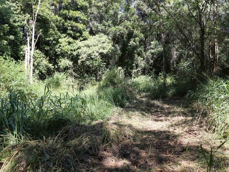 406 Oakforest Road, Kuranda QLD 4881