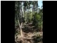 406 Oakforest Road, Kuranda QLD 4881