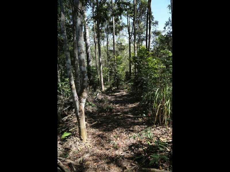 406 Oakforest Road, Kuranda QLD 4881