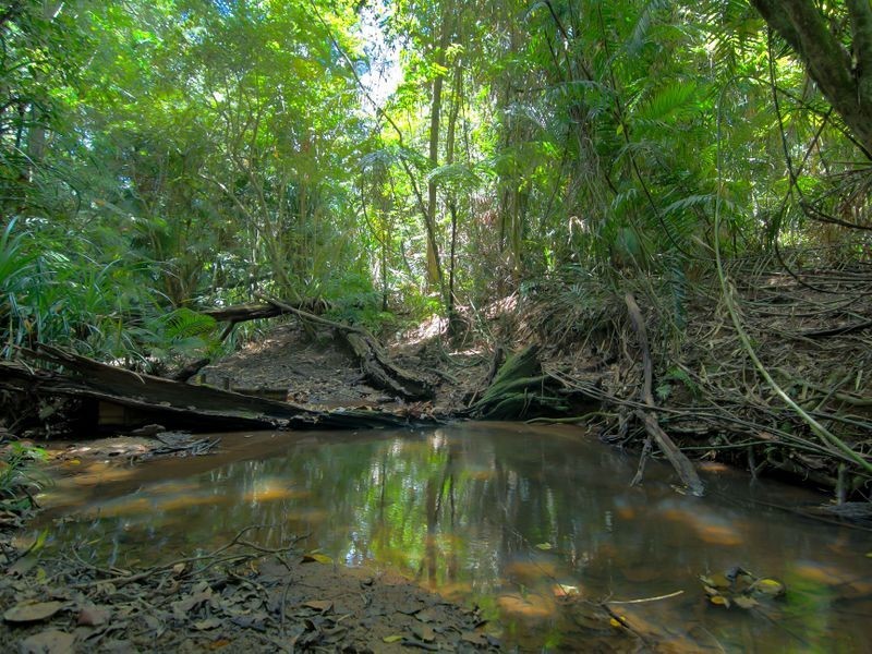 9 Saddle Mountain Road, Kuranda QLD 4881