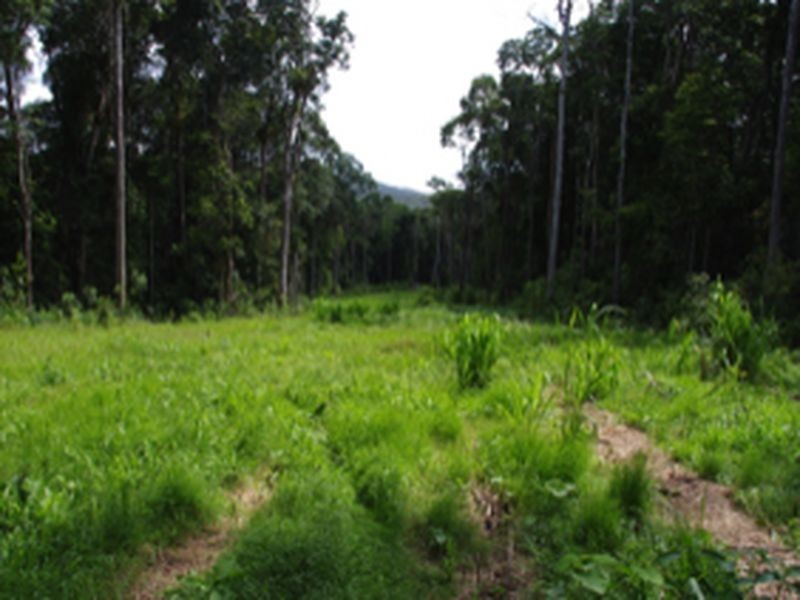 Lot 2 Boyles Road, Kuranda QLD 4881