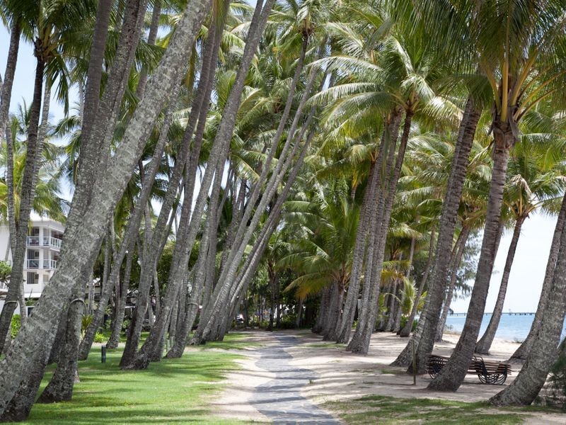 3/15 Amphora Street, Palm Cove QLD 4879