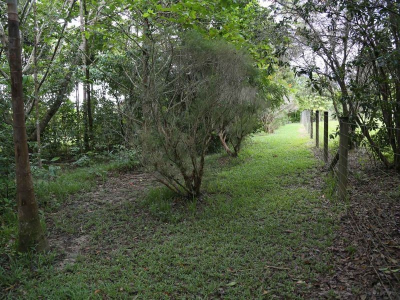 26 Williamson Drive, Kuranda QLD 4881