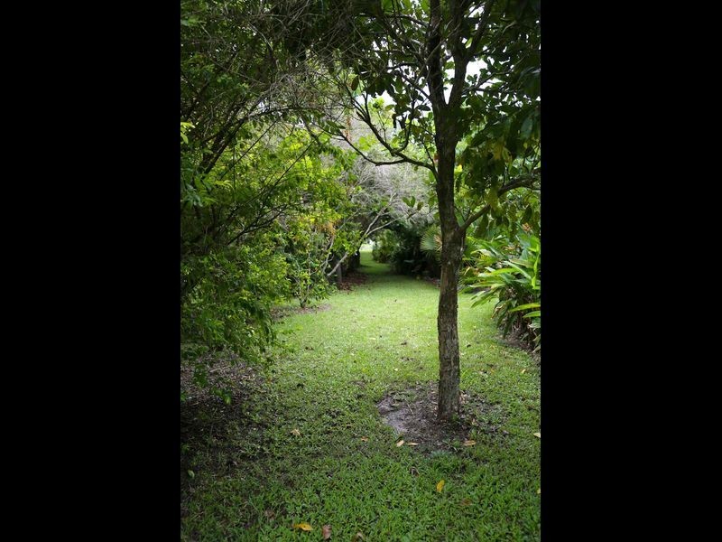 26 Williamson Drive, Kuranda QLD 4881