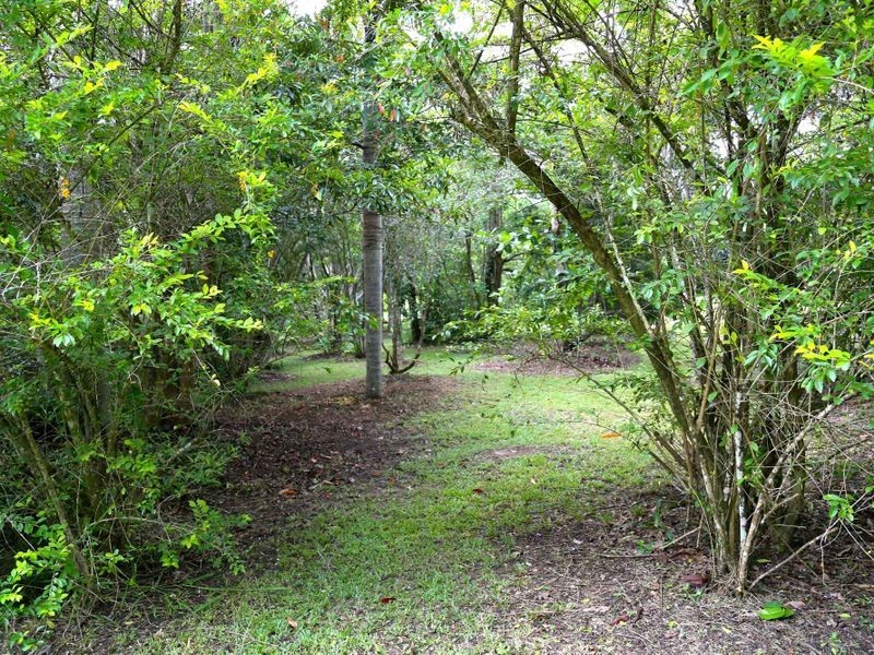 26 Williamson Drive, Kuranda QLD 4881