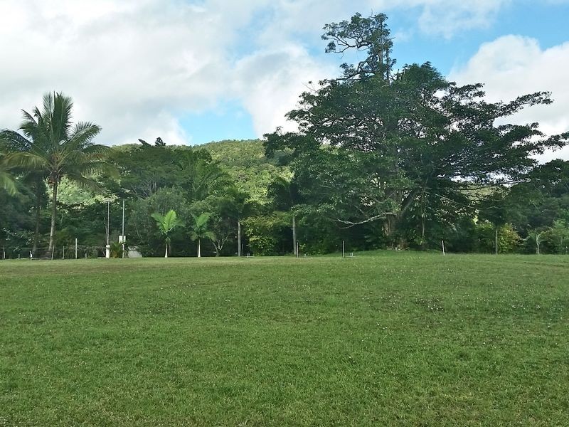 2 Platypus Close, Kuranda QLD 4881
