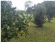 2 Platypus Close, Kuranda QLD 4881