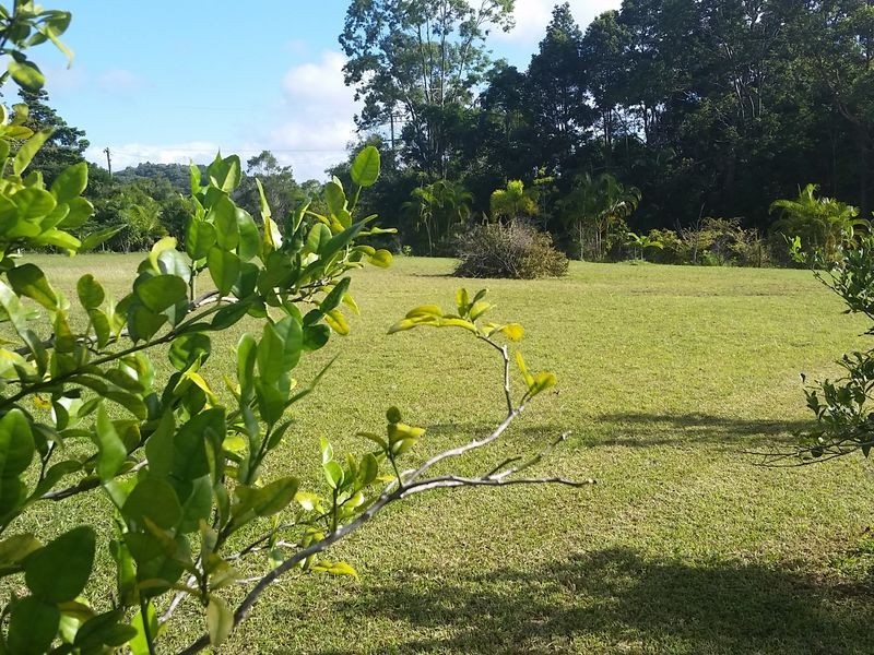 2 Platypus Close, Kuranda QLD 4881
