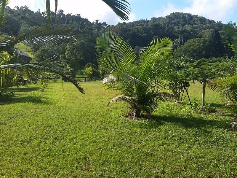 2 Platypus Close, Kuranda QLD 4881