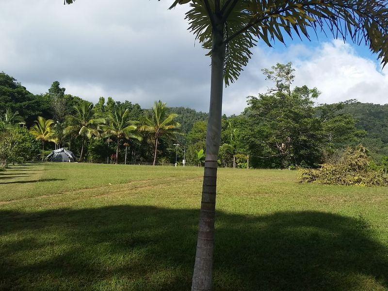 2 Platypus Close, Kuranda QLD 4881