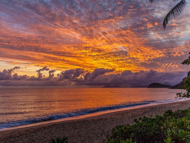 333/49-63 Williams Esplanade, Palm Cove QLD 4879