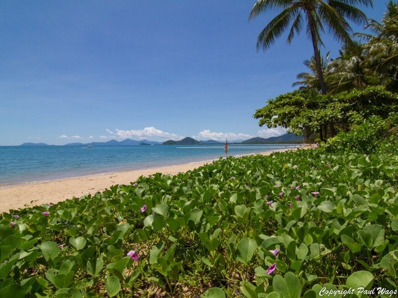 30/23-25 Veivers Road, Palm Cove QLD 4879