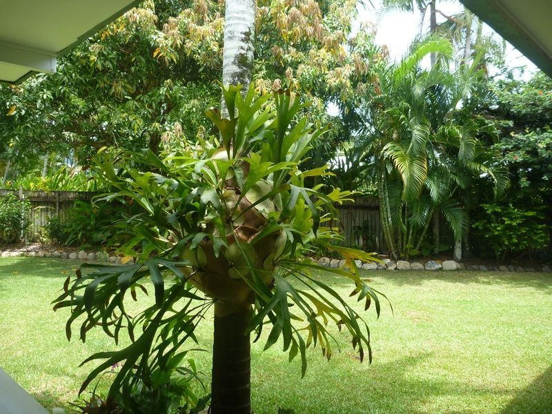 3 Thetford Street, Clifton Beach QLD 4879
