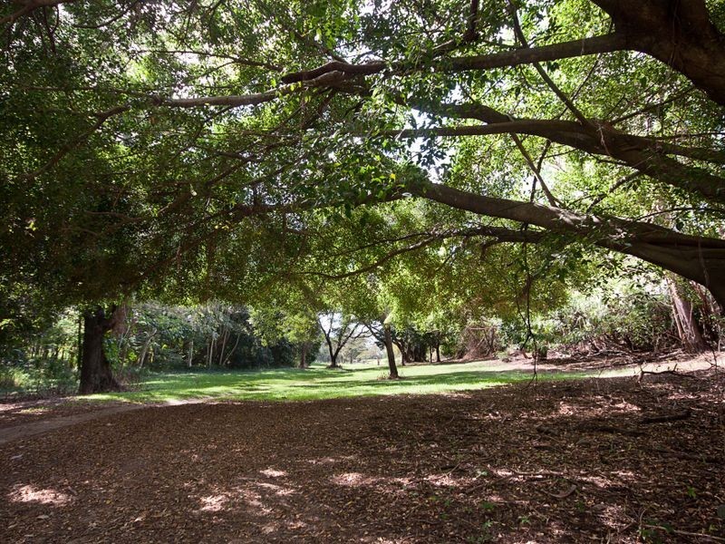 8/20-38 Sandwich Street, Kamerunga QLD 4870