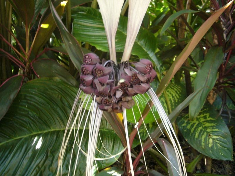 4/81-87 Arlington Esplanade, Clifton Beach QLD 4879