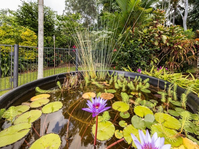 11 Cheviot Street, Smithfield QLD 4878