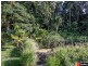 10 Gregory Terrace, Kuranda QLD 4881