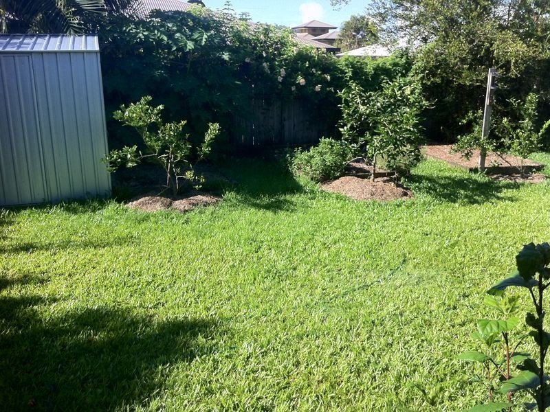 41 O’Brien Road, Trinity Park QLD 4879