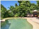 65 Terebra Street, Palm Cove QLD 4879
